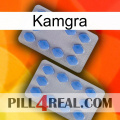 Kamgra 20